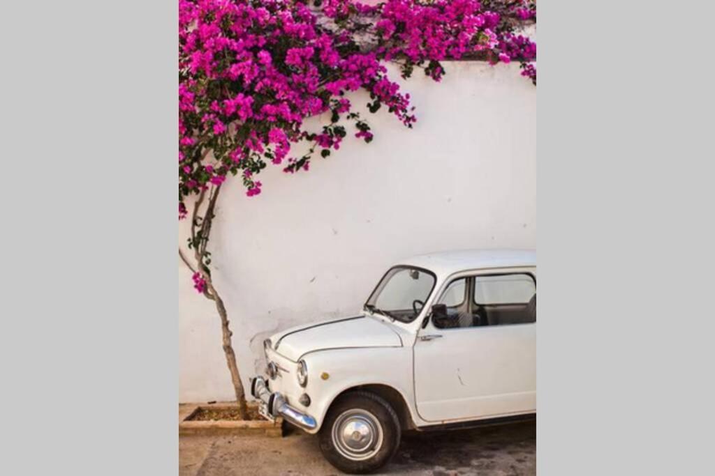 Mojacar Pueblo - Traditional Village House - The Old Jewish Quarter Εξωτερικό φωτογραφία